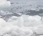 包含淘汰赛巅峰对决！漠南独角兽队险胜中原鲨队队，冰球赛场再起波澜；定位球制造杀机的词条-kaiyun官网中国