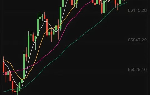 马斯克再次发推，比特币瞬间上攀升140%！，引爆行情-开云体育最新网址