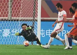 川蜀黑豹队对阵泰山鲸鲨队，排球锦标赛守住胜果，细节决定成败——精神属性拉满